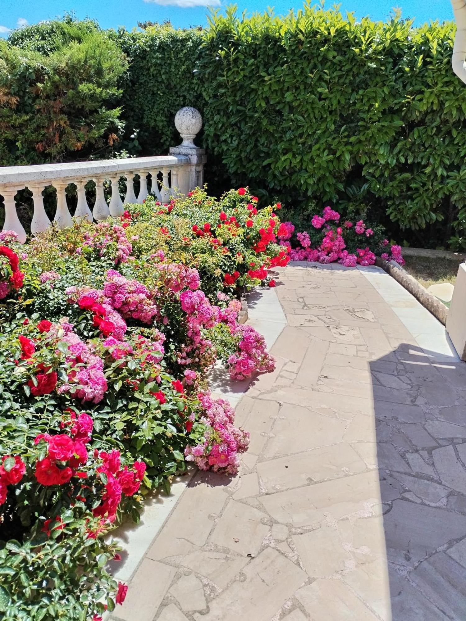 La Villa Des Ames Liees Draguignan Bagian luar foto
